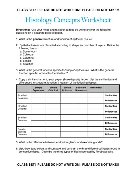 Epithelial Tissue Worksheet Answer Key Anatomy Worksheets