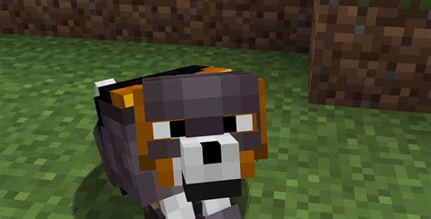 Wolves with armor textures for Doggy Talents Armor Minecraft Texture Pack