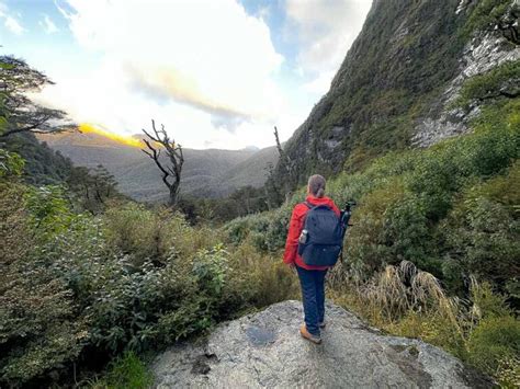 15 BEST Hikes in Milford Sound