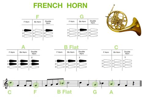 French Horn Fingering Chart