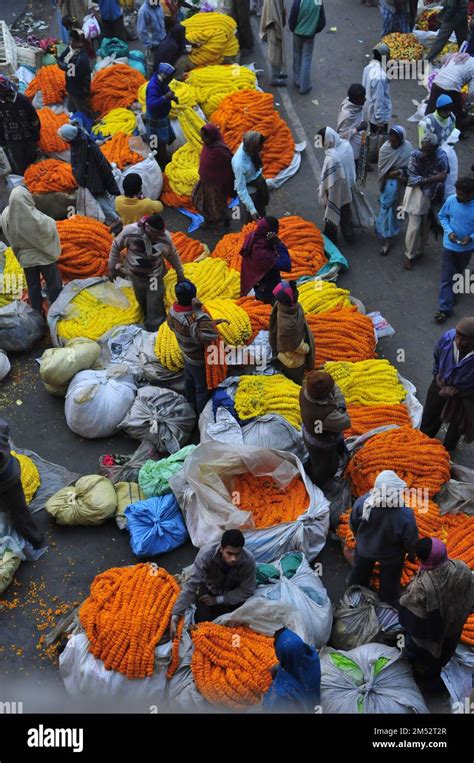 Mallick Ghat est l un des plus grands marchés de fleurs en Asie Scènes