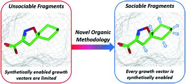 Fragment Based Drug Discovery Opportunities For Organic Synthesis