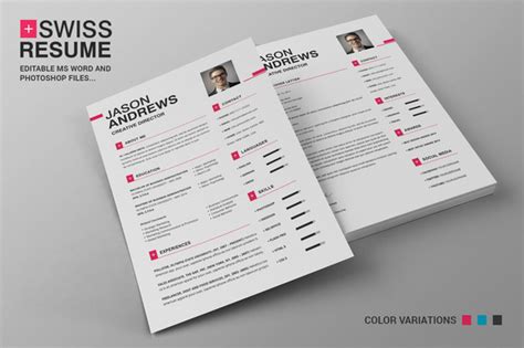 Swiss Resume Cv Resume Templates On Creative Market