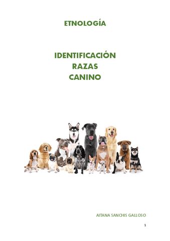 Etno Canino Razas Pdf