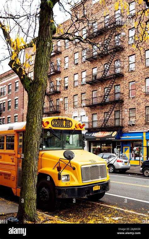 Typical New York City School Bus Stock Photo - Alamy