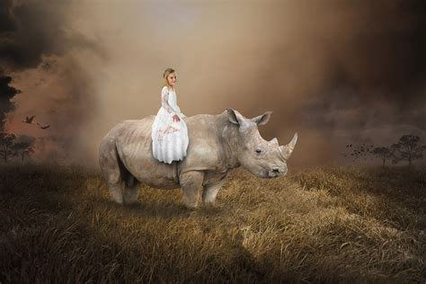 Surreales M Dchen Das Nashorn Reitet Natur Motivwelten