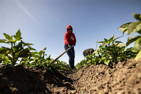 El Costo Del “sueño Americano” Los Migrantes Que Mueren Debido A Las