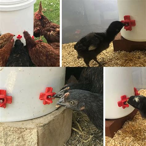 10pcs Poultry Drinker Horizontal Side Mount Chicken Nipples Waterer