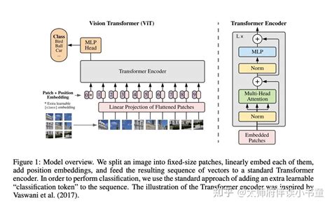 Vision TransformerViT打通CV与NLP领域的经典之作 知乎