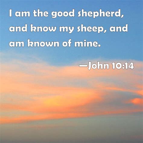 John 10 14 I Am The Good Shepherd And Know My Sheep And Am Known Of Mine