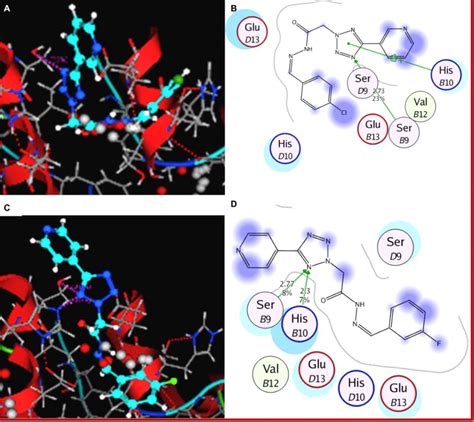 Molecular Docking Analysis Of 3QE6 A C Docking Pose Of 9a And 10l