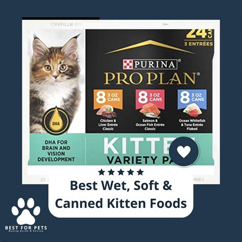 14 Best Wet Soft And Canned Kitten Foods In 2022