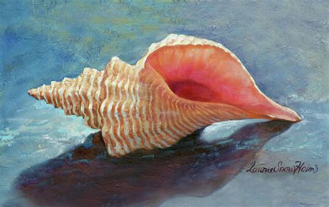 Conch Shell Paintings