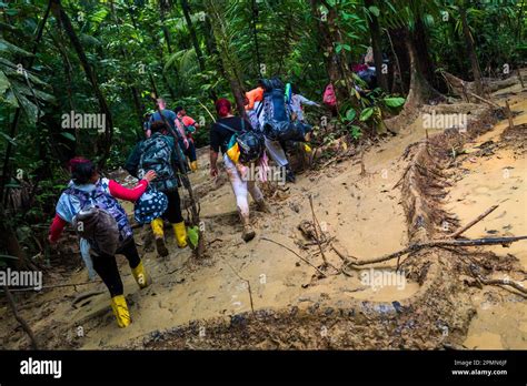 Migrantes De Ecuador Hait Y Nigeria Caminan Por Un Sendero Fangoso En