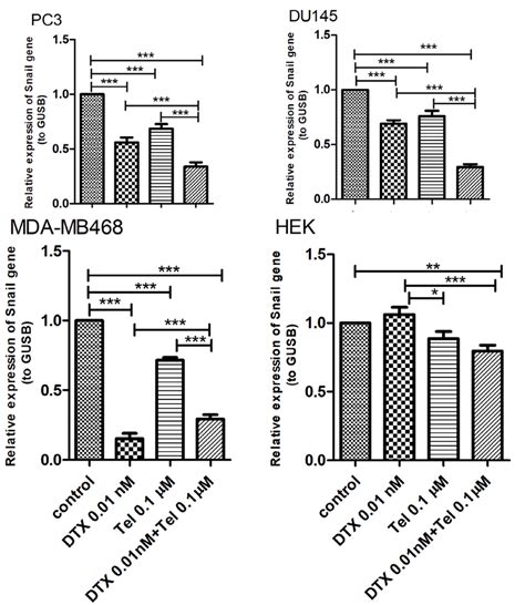 The Effect Of Combination Treatment With DTX And Tel On Snail MRNA