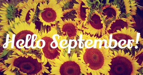 Download Hello September Greeting With Sunflower Wallpaper