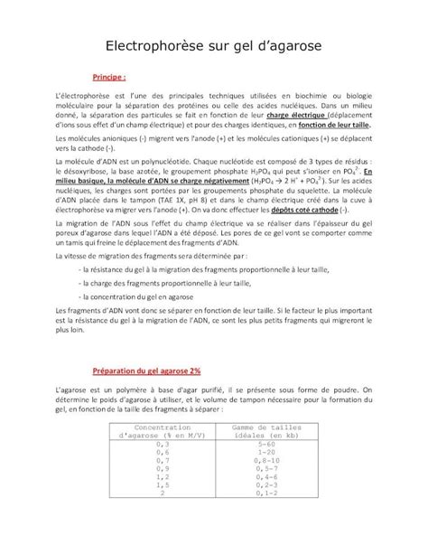 PDF Electrophorese Sur Gel D Agarose DOKUMEN TIPS