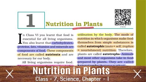 CLASS 7 SCIENCE CHAPTER 1 NCERT Nutrition In Plants YouTube