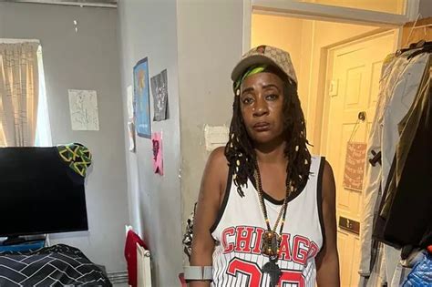 Downing Street cat Larry takes on fox outside No.10 in hilarious