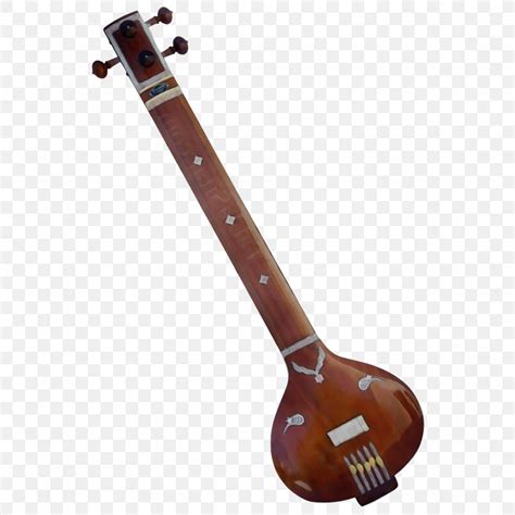 Musical Instrument String Instrument String Instrument Plucked String