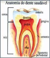 Alimentos Que Mancham Os Dentes Odontologia Apeles Lemos