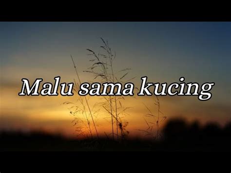 Romaria Malu Sama Kucing Lirik YouTube