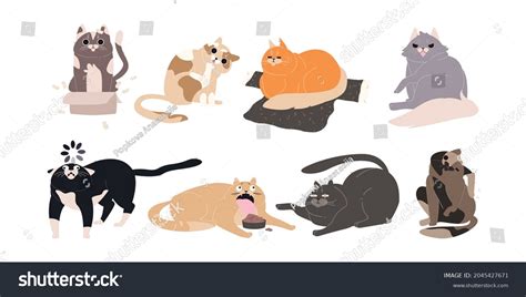 2+ Hundred Cat Fighting Pose Royalty-Free Images, Stock Photos ...