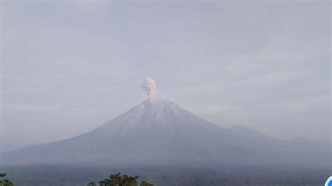 Gunung Semeru Erupsi 6 Kali Pagi Ini Letusan Abu Capai 900 Meter