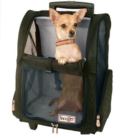 Dog Stroller Shopping Guide Our Picks For Small And Large Pets Pet