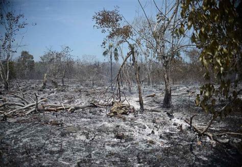 Áreas naturales de Quintana Roo en riesgo por intenso calor