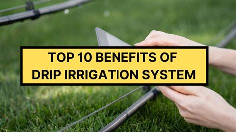 Top 10 Benefits Of Drip Irrigation System Advantages Of Drip Irrigation