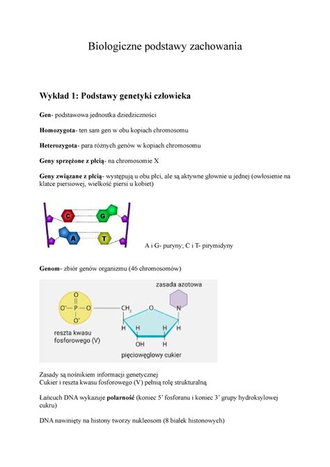 Biologiczne Podstawy Zachowania Notatki Biologiczne Podstawy