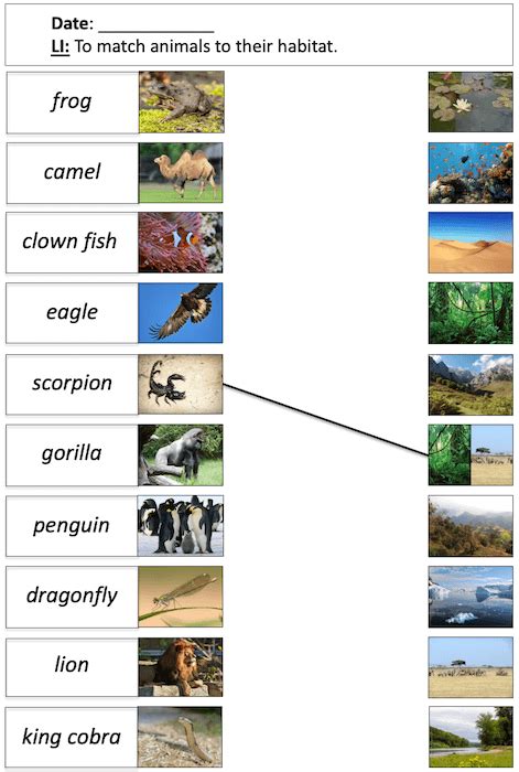 Matching Animals To Their Habitats Ks1