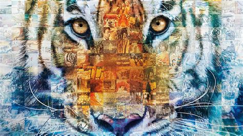 Tiger face illustration, Life of Pi, tiger, animals, movies HD wallpaper | Wallpaper Flare