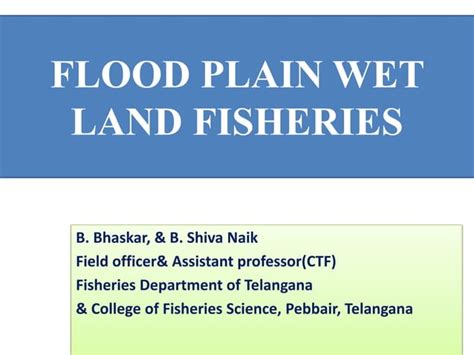 Flood Plain Wet Lands PPT