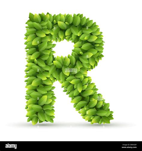 Letter R Vector Alphabet Of Green Leaves Stock Photo Alamy