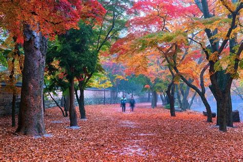 Tripadvisor Ganztägige Korea Autumn Flavor Tour Von Seoul Nach Kanghwa Island Zur Verfügung