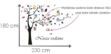 Drzewo Genealogiczne Nasza Rodzina Ramki Ptaki Naklejki Cienne