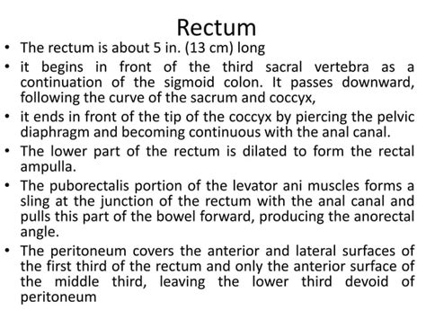 Anatomy Of Small And Large Intestine Ppt