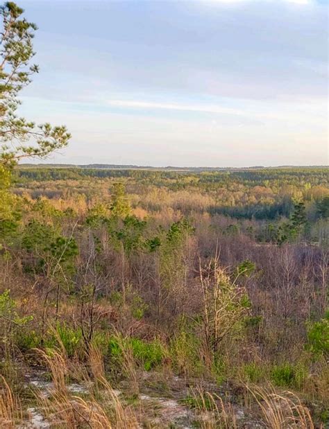 Butler Taylor County Ga Recreational Property Timberland Property