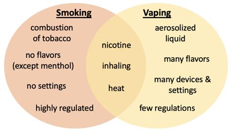 Fat In Your Lungs How Vaping Can Impact Your Bodys Ability To Fight