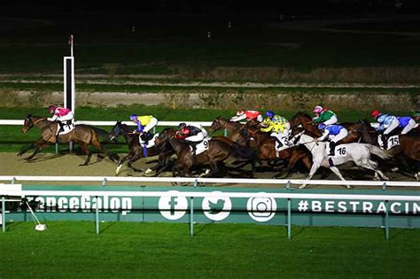 La Photo De L Arriv E Du Prix Du Pays D Ouche Course Pmu Du Vendredi