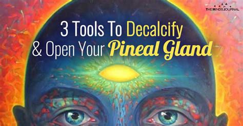 Tools To Decalcify And Open Your Pineal Gland