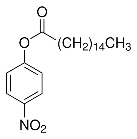 P Nitrophenyl Palmitate Sigma Aldrich