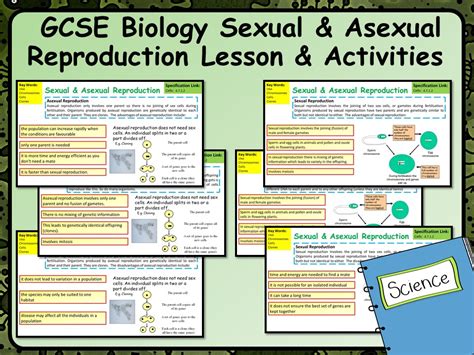 Ks4 Aqa Gcse Science Spec Sexual And Asexual Reproduction Lesson Teaching Resources