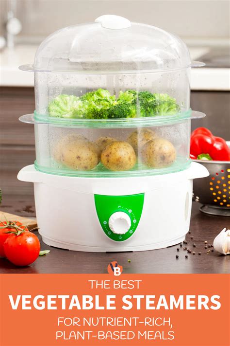 Best Vegetable Steamer Reviews Vegbyte