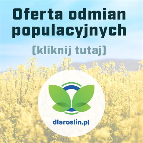 Odmiany Rzepaku Lidea Katalog Rzepaku Lidea 2023