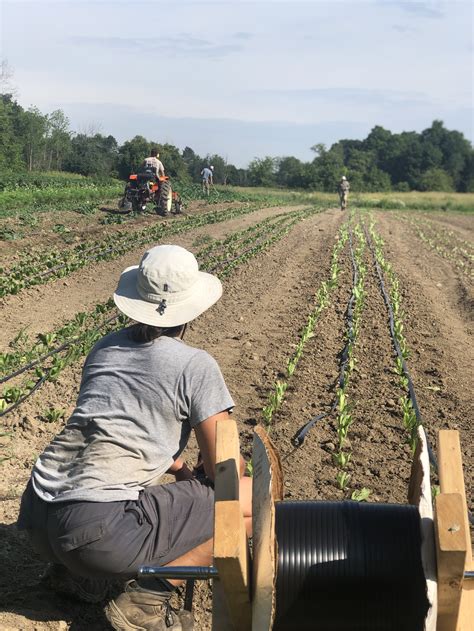 Join Our Farmer Team — Joyfully Organic Farm