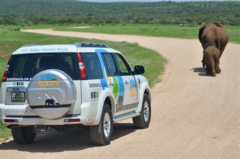 Attractions in Addo Elephant National Park - Into Tours