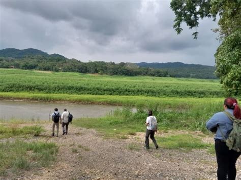 Gira En El Lago Alajuela Ampl A Visi N Acad Mica De Universitarios La